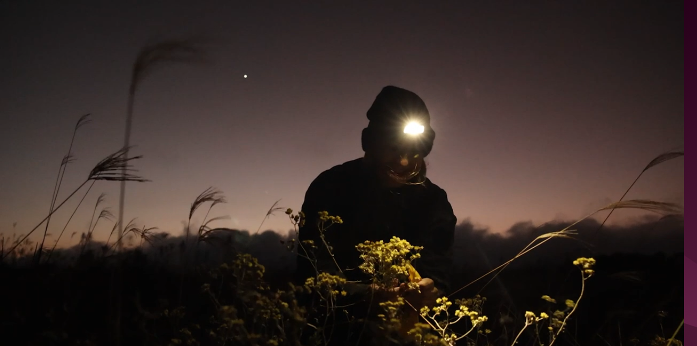 Captura de tela de 2026-03-20 20-16-47.png