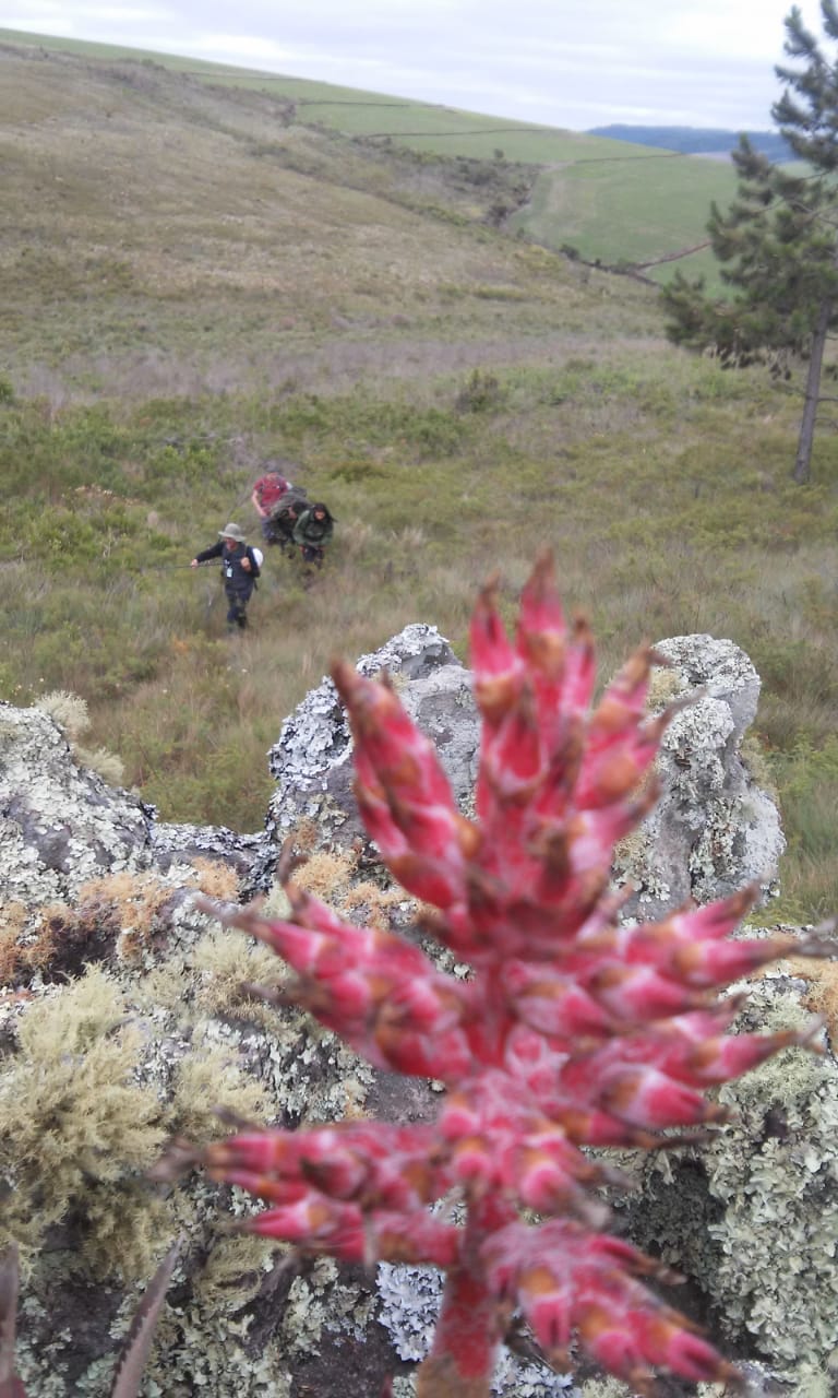 WhatsApp Image 2019-11-24 at 10.46.23 AM_GUI.jpeg