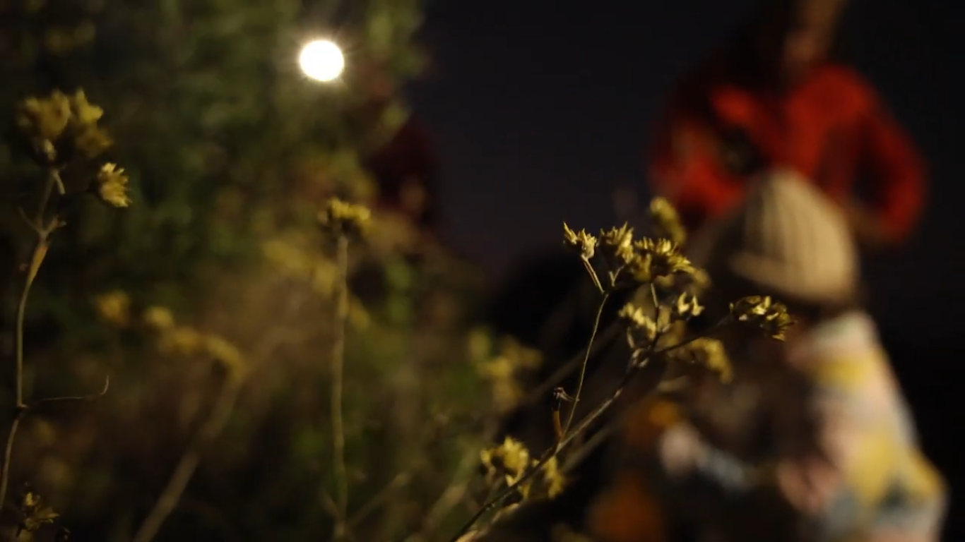 Captura de tela de 2026-03-20 20-14-18.png