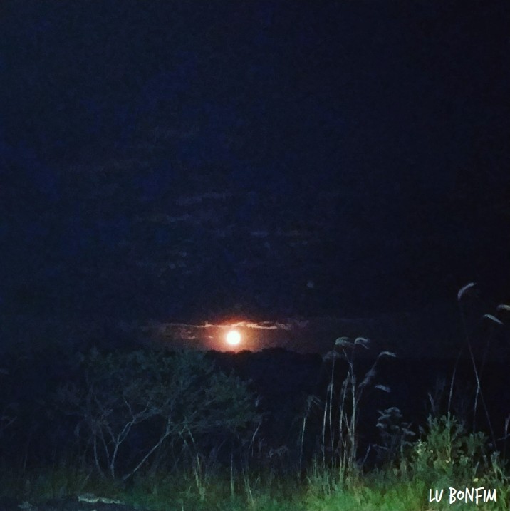 imagens selecionadas_67.jpg