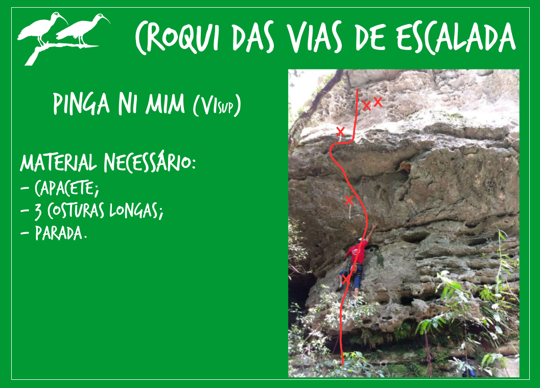 Captura de tela de 2018-11-14 12:59:13.png