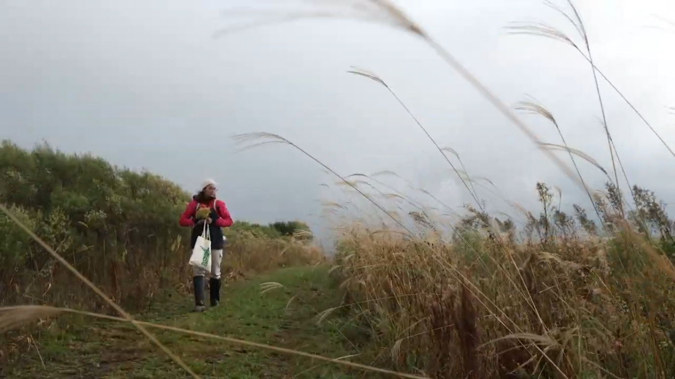 Captura de tela de 2026-03-20 20-19-13.png