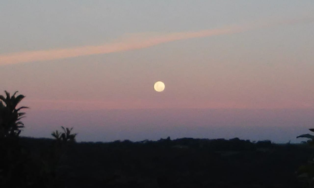 WhatsApp Image 2019-06-16 at 5.38.07 PM_GUI.jpeg