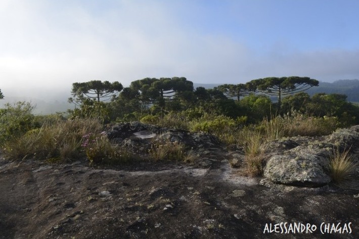 20_Mesas de Pedra_creditos_JUDEU.jpeg
