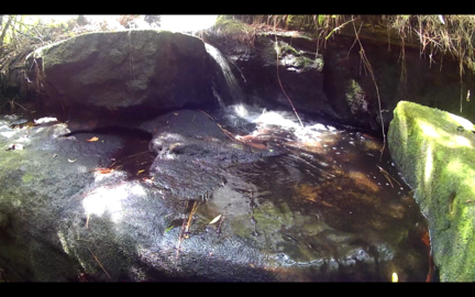 Captura de tela de 2019-04-14 09-47-41.redimensionado.png