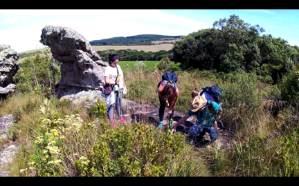 Captura de tela de 2019-04-14 09-31-55.redimensionado.png