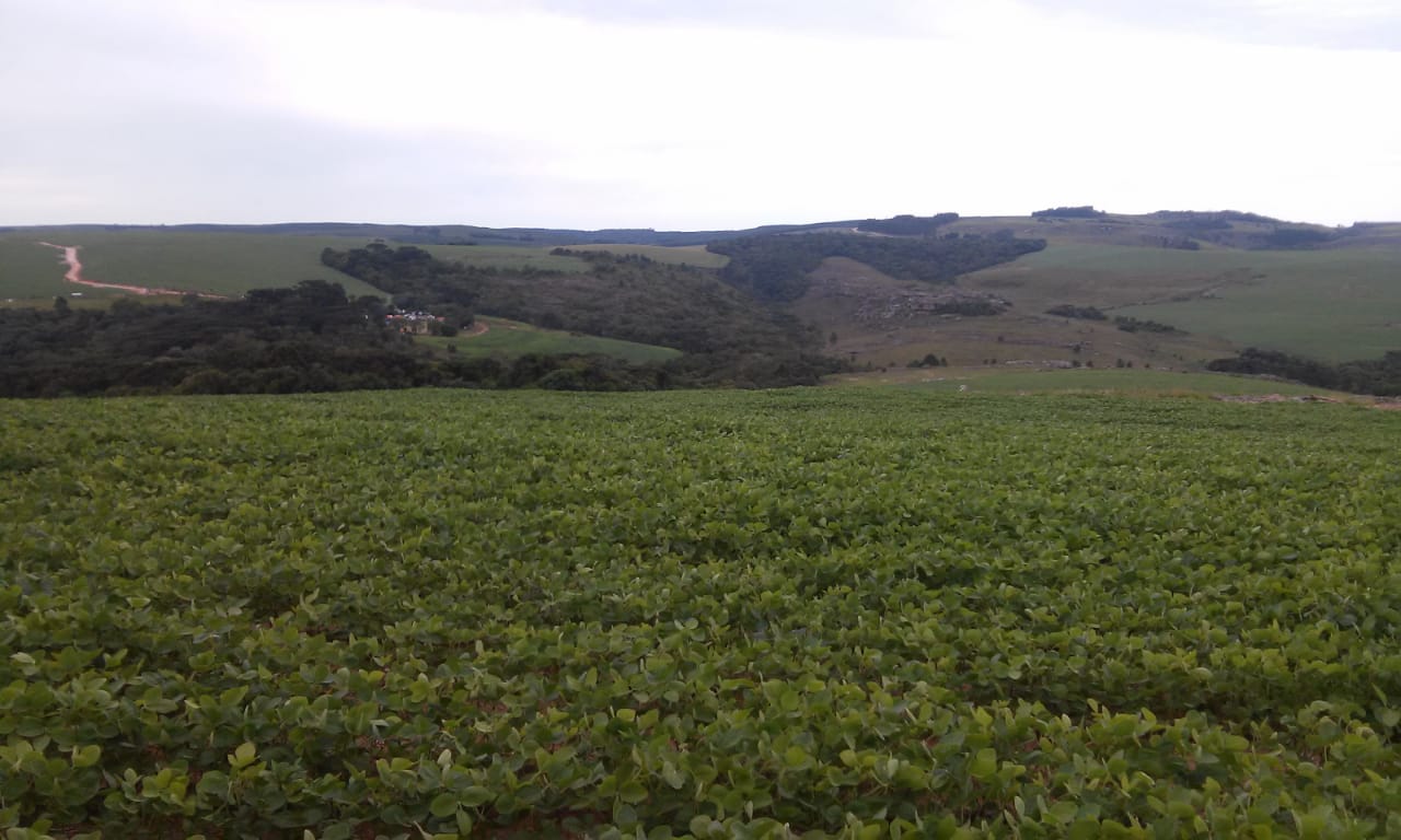 WhatsApp Image 2019-12-08 at 2.01.42 PM_GUI.jpeg