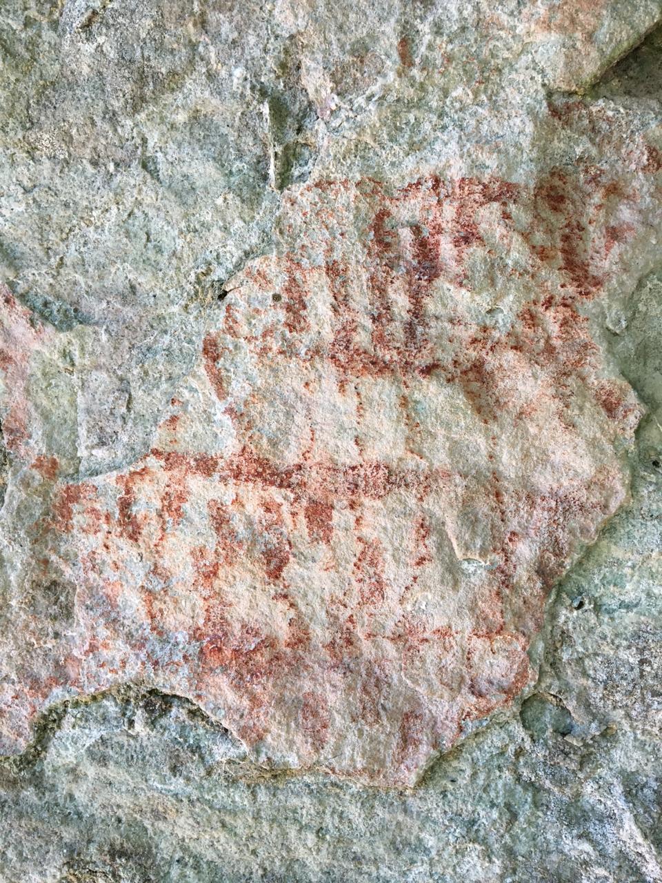 WhatsApp Image 2019-05-05 at 8.07.01 PM.jpeg