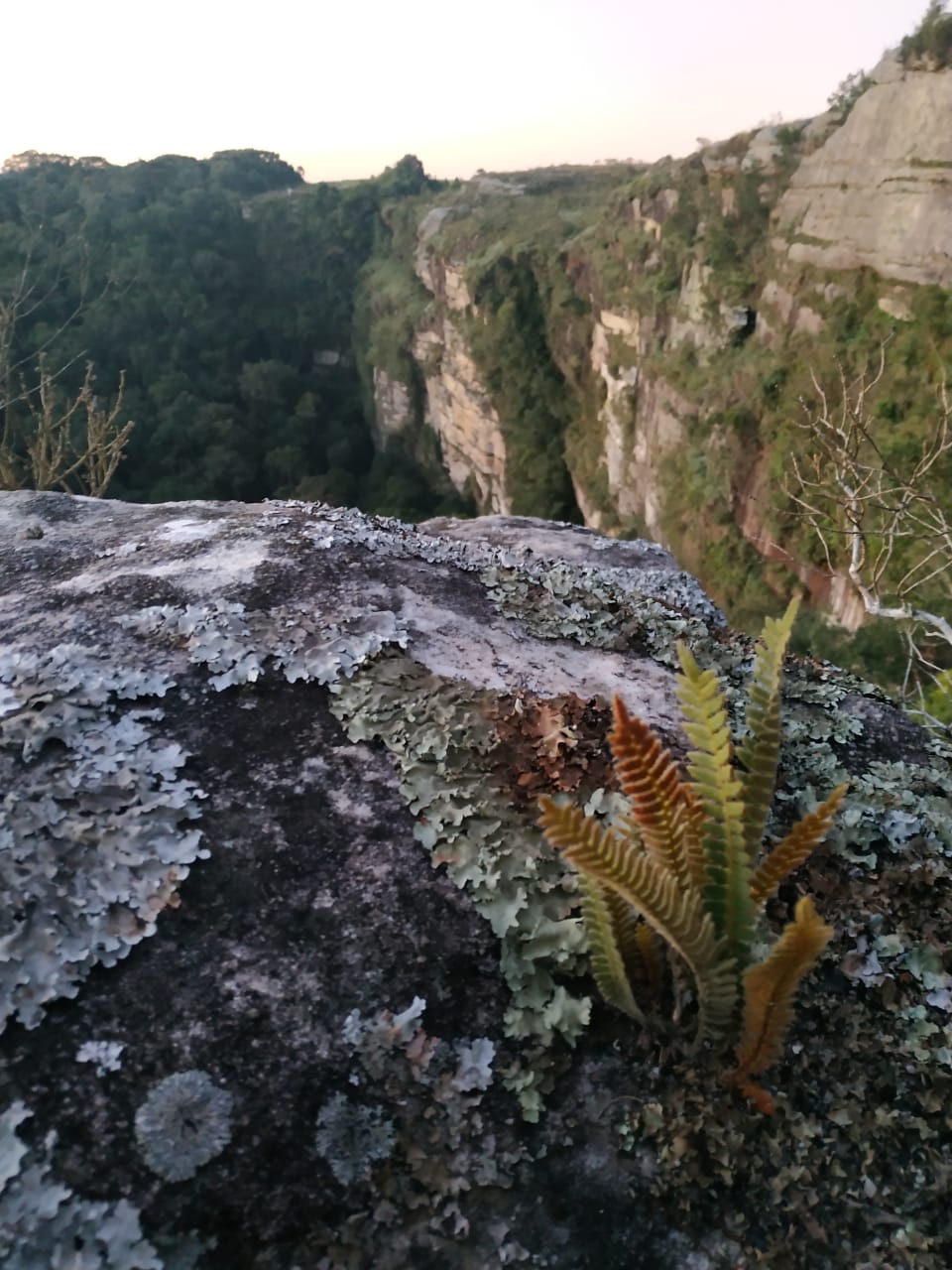 50 WhatsApp Image 2019-06-17 at 9.14.43 AM.jpeg