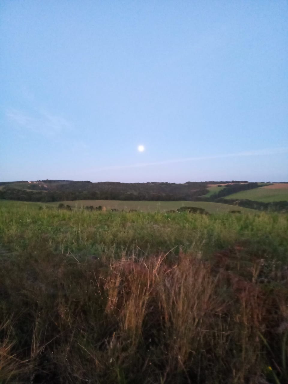 37 WhatsApp Image 2019-06-17 at 9.15.14 AM.jpeg