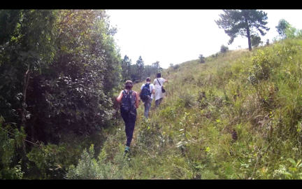 Captura de tela de 2019-04-14 09-57-17.redimensionado.png