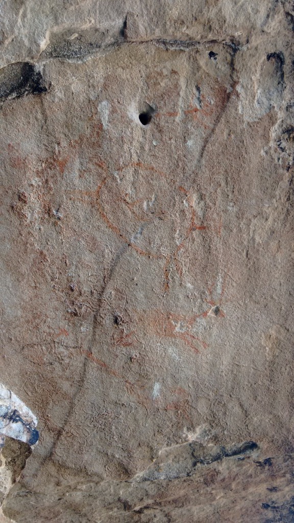 WhatsApp Image 2019-05-09 at 10.36.08 AM.redimensionado.jpeg