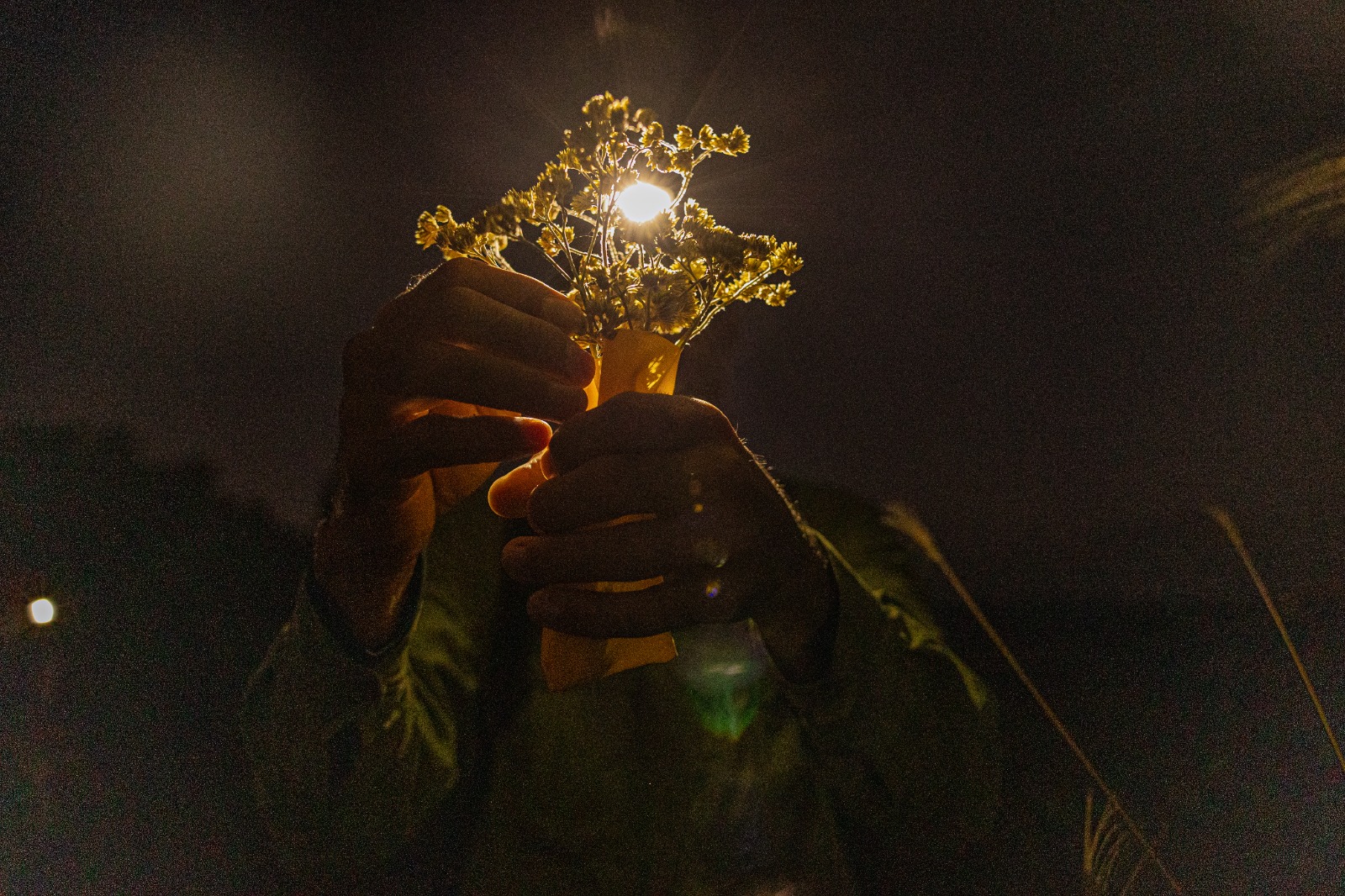 WhatsApp Image 2026-03-19 at 11.52.07 (3).jpeg