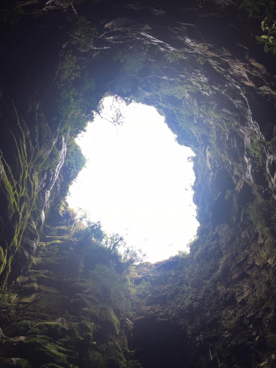 WhatsApp Image 2019-05-13 at 7.45.36 PM(1).jpeg