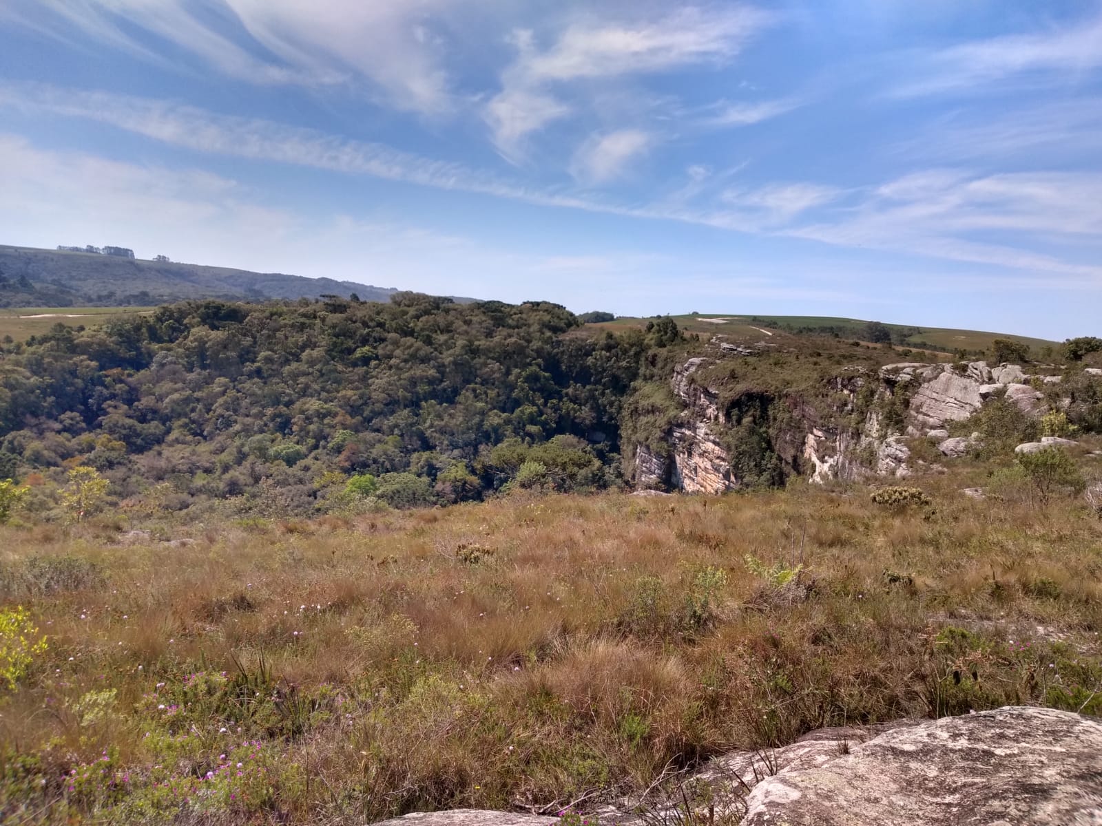 WhatsApp Image 2021-09-23 at 18.21.00DARTILENE-SILVA.jpeg