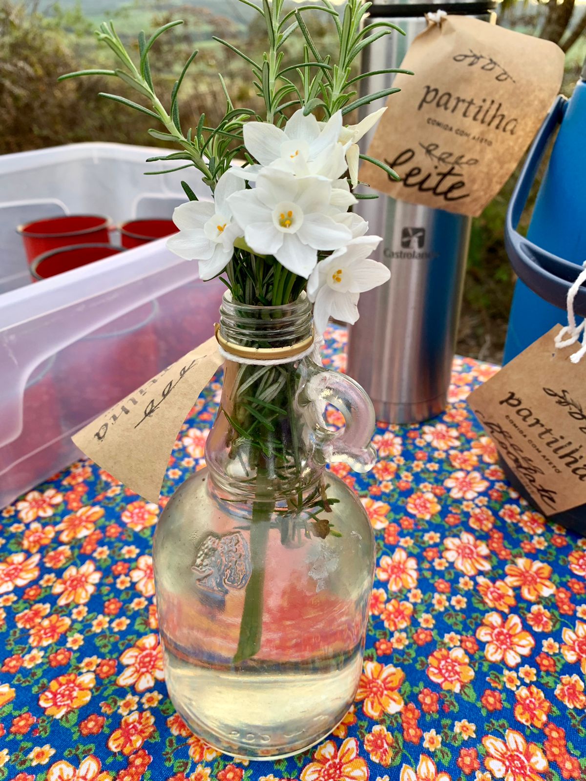 PIQUENIQUE-WhatsApp Image 2022-08-09 at 18.02.32 (1)-CLEUSA ASSAKURA.jpeg