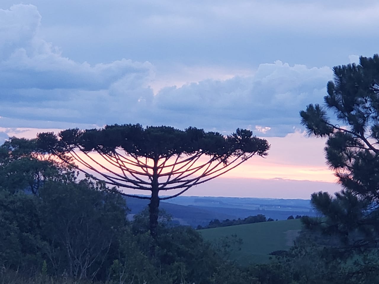 WhatsApp Image 2019-12-13 at 12.45.53 AM_ROSILENE.jpeg