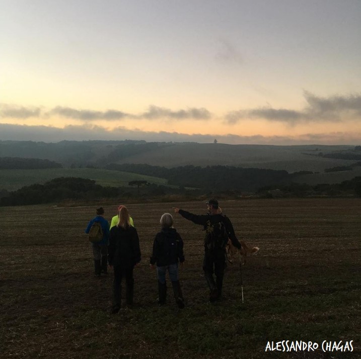 imagens selecionadas_creditos_25.jpg