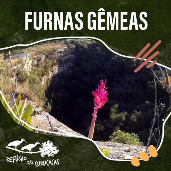 card_FURNAS GEMEAS.jpg