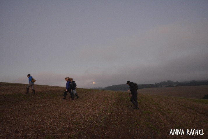 imagens selecionadas_creditos_08.jpg