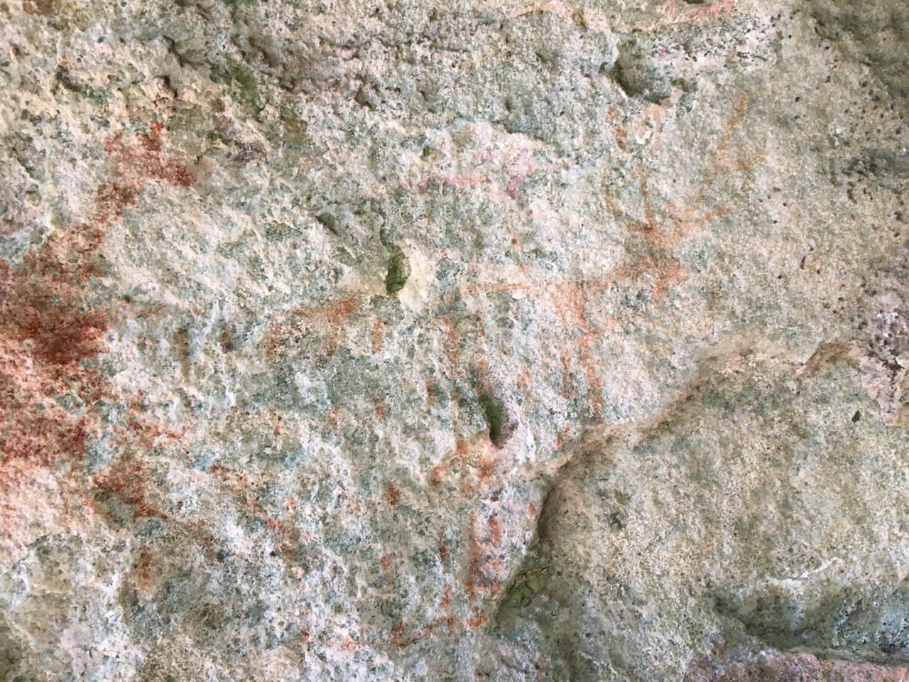 WhatsApp Image 2019-05-05 at 8.07.02 PM(1).jpeg