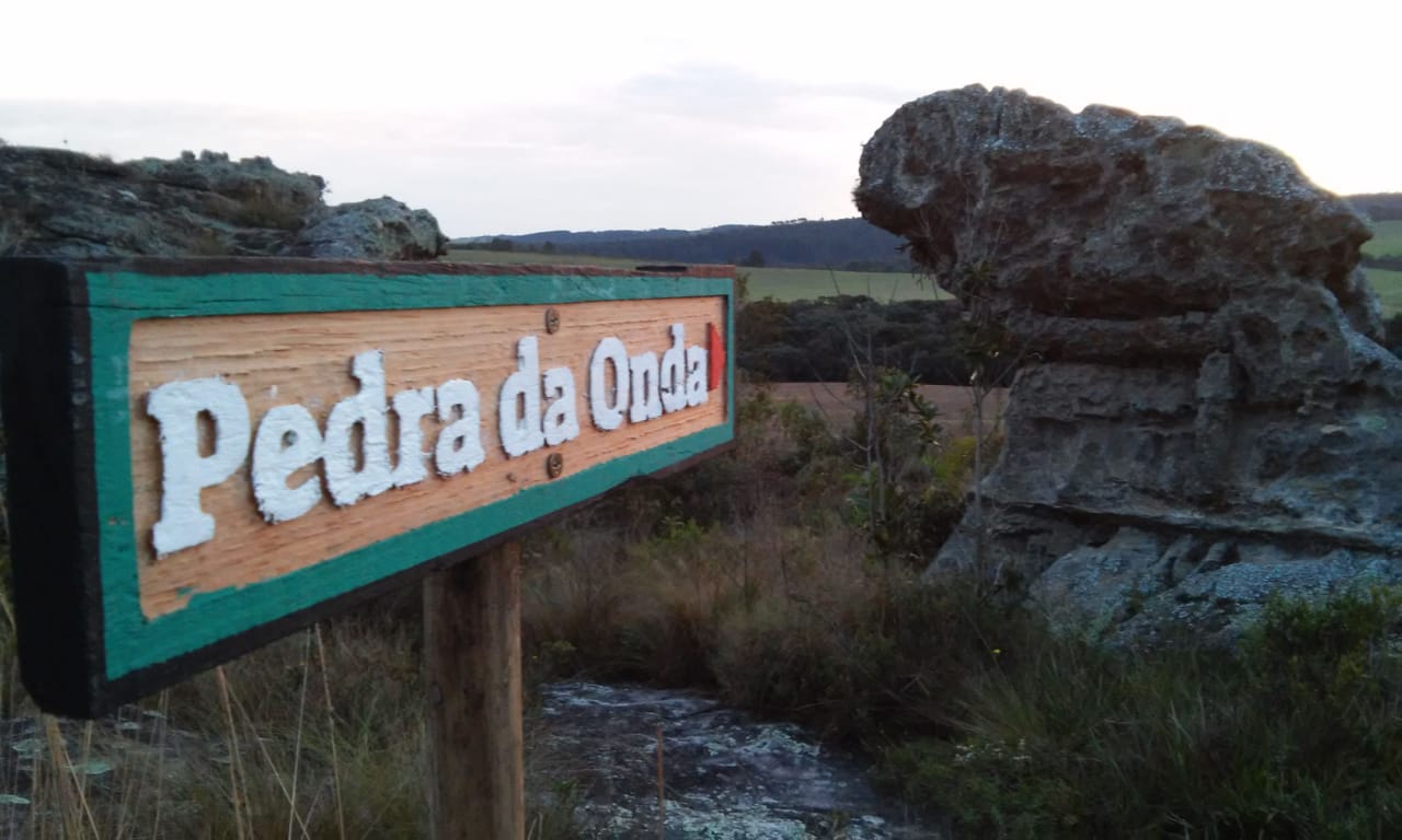 WhatsApp Image 2019-05-12 at 5.47.45 PM.jpeg