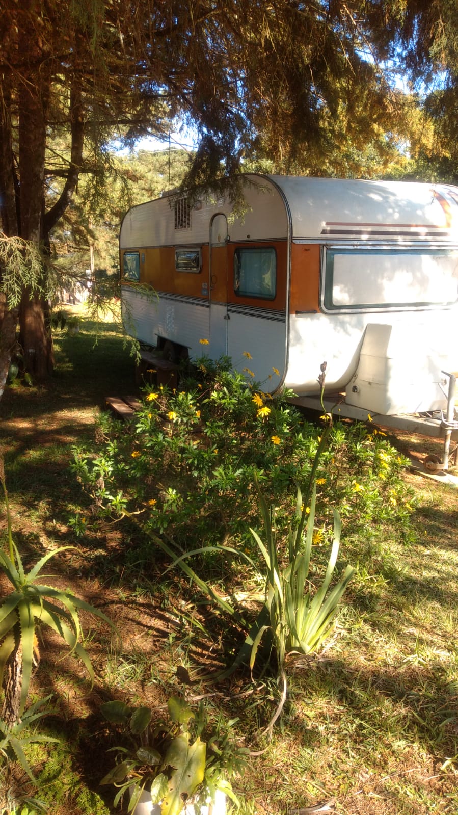 WhatsApp Image 2023-08-06 at 09.43.41.jpeg