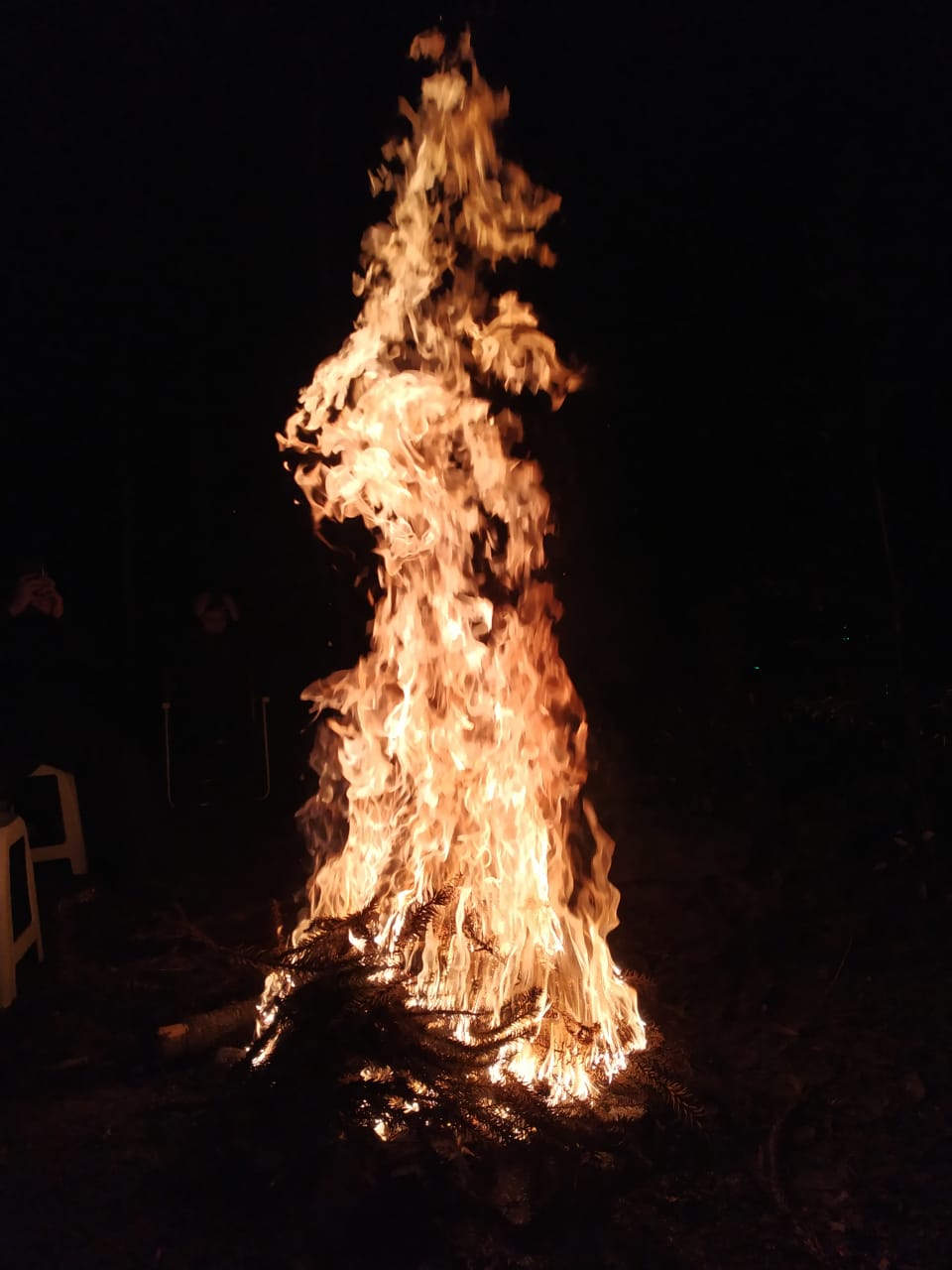 91 WhatsApp Image 2019-06-17 at 9.14.40 AM.jpeg