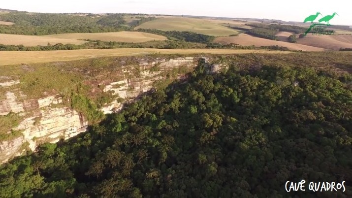 imagens selecionadas_creditos_50.jpg