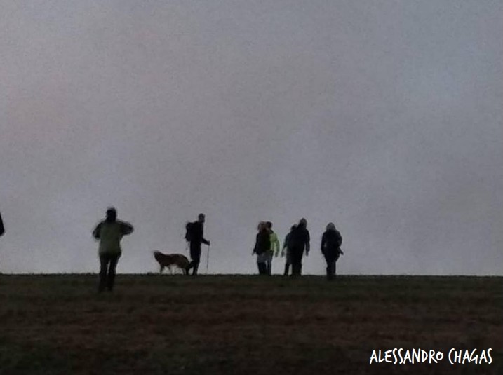 imagens selecionadas_creditos_03.jpg