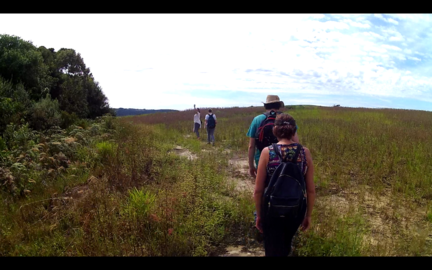 Captura de tela de 2019-04-14 09-55-05.redimensionado.png