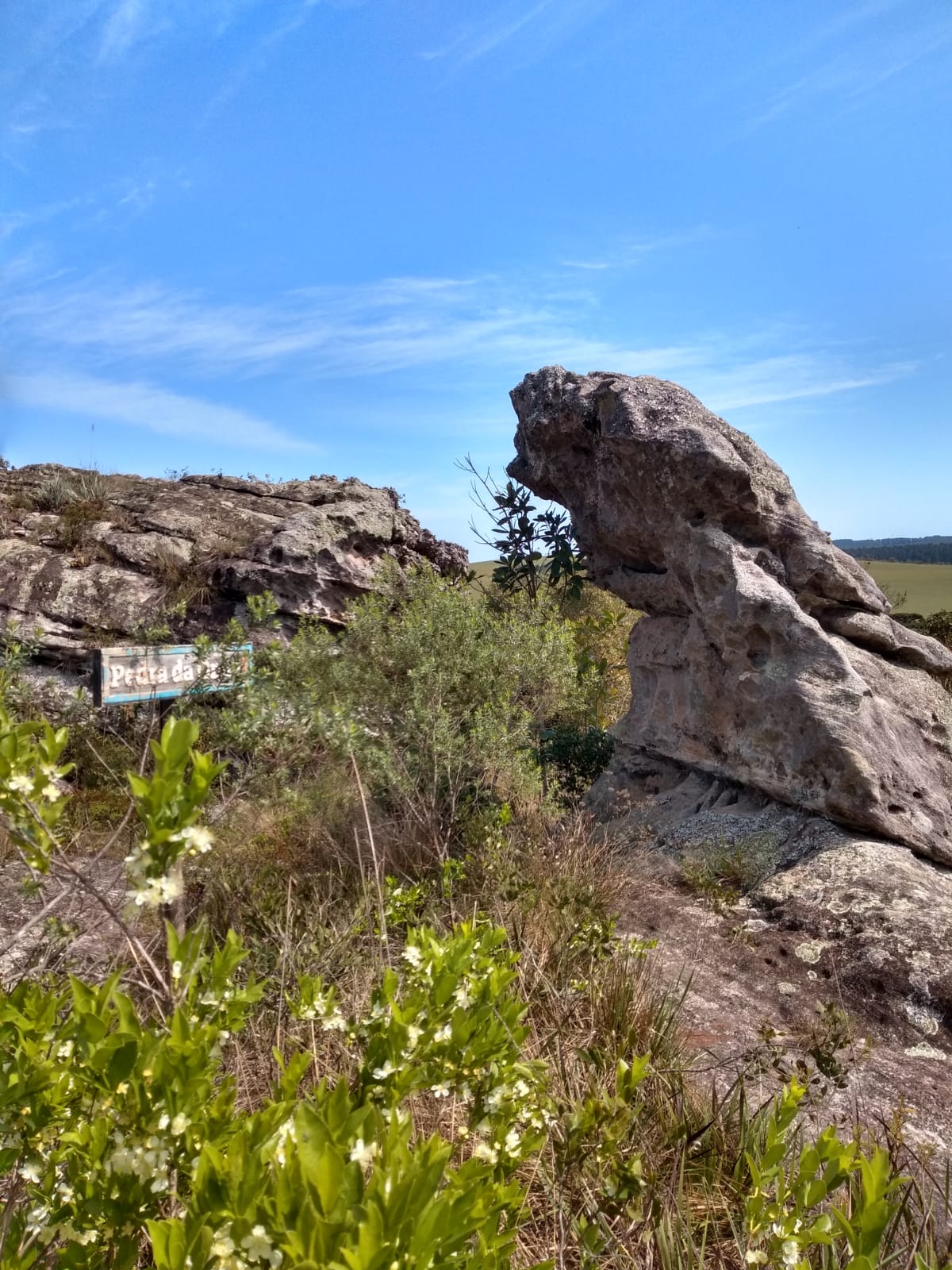 WhatsApp Image 2021-09-23 at 18.21.02 (2)DARTILENE-SILVA.jpeg