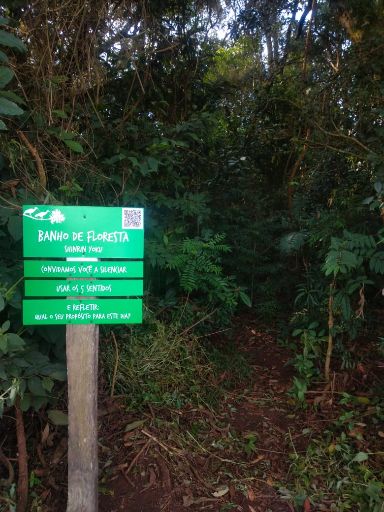 WhatsApp Image 2022-04-10 at 18.45.01.jpeg