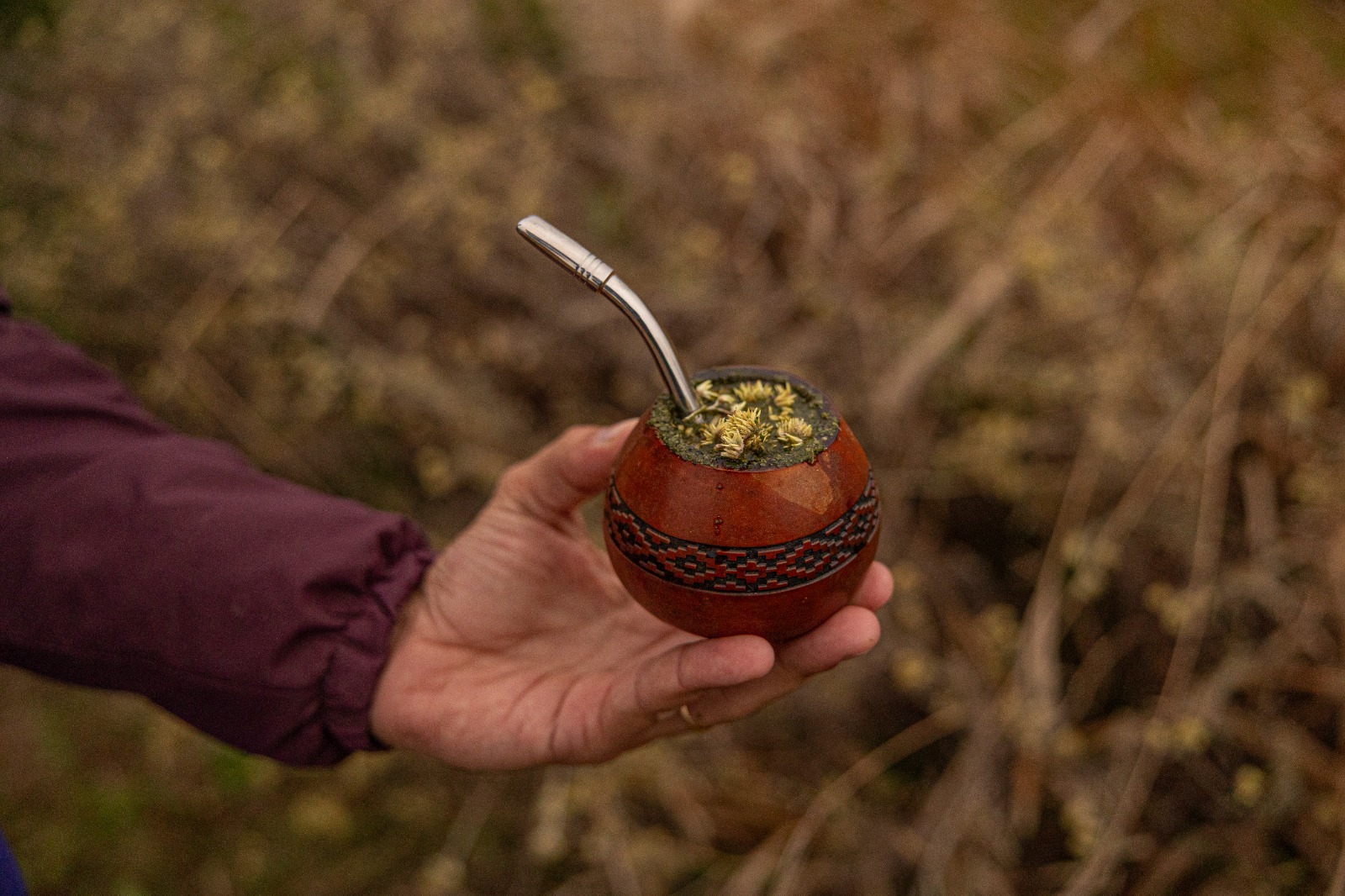 WhatsApp Image 2026-03-19 at 11.52.07 (2).jpeg