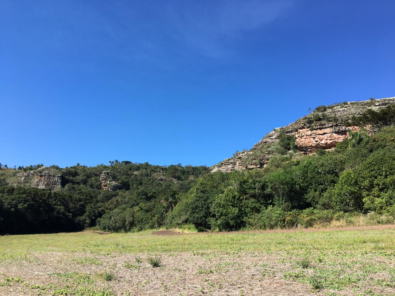 WhatsApp Image 2019-05-05 at 8.07.02 PM.jpeg