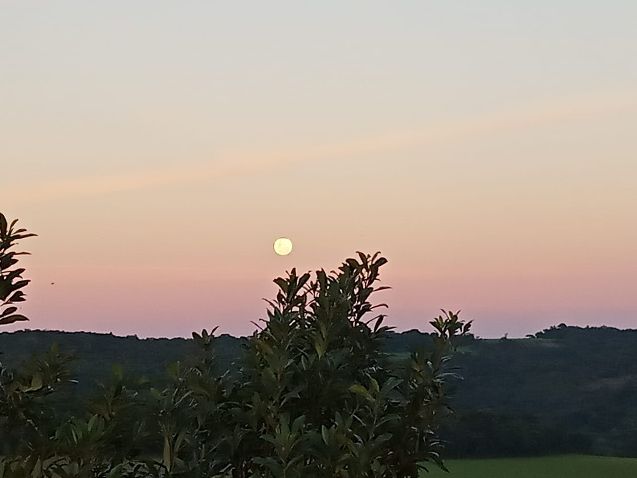 33 WhatsApp Image 2019-06-17 at 9.15.14 AM(2).jpeg