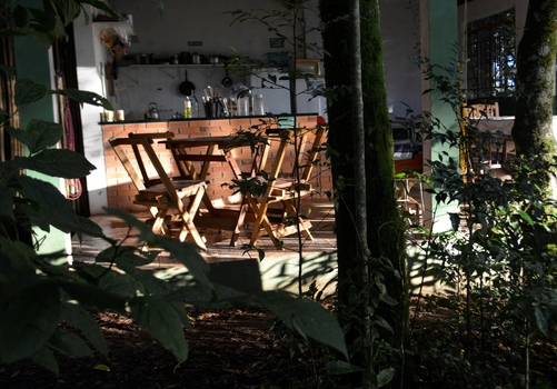 _DSC0247 - Cópia.redimensionado.JPG