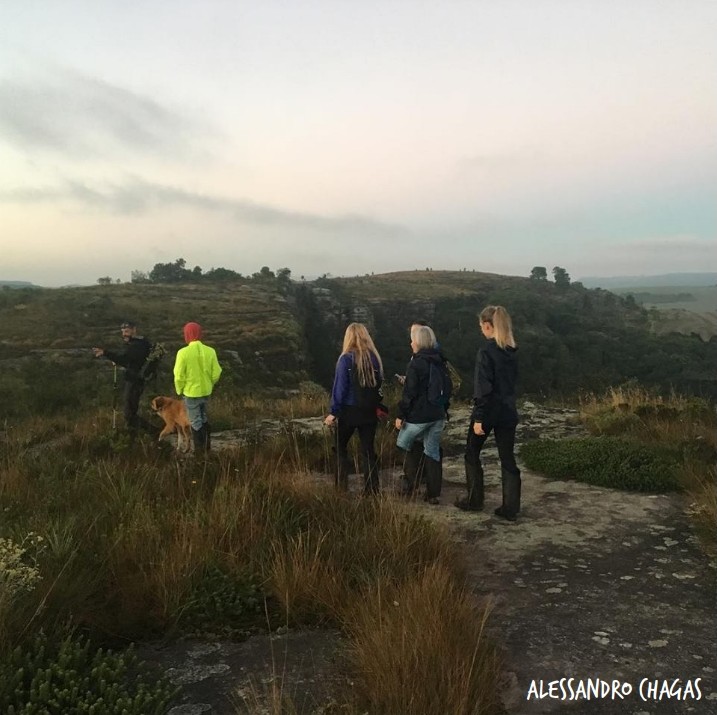 imagens selecionadas_creditos_22.jpg