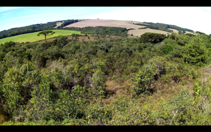 Captura de tela de 2019-04-14 09-41-48.redimensionado.png