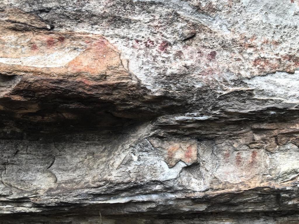 WhatsApp Image 2019-05-25 at 2.03.32 PM.redimensionado.jpeg