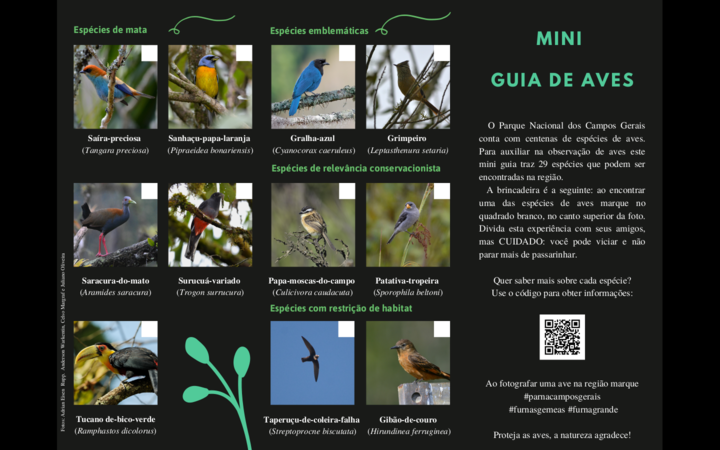 Mini Guia Aves_01.redimensionado.png