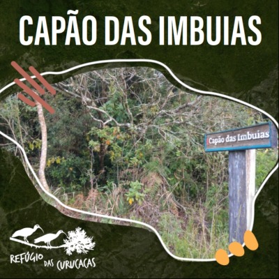 card_CAPAO-IMBUIAS-1.jpg