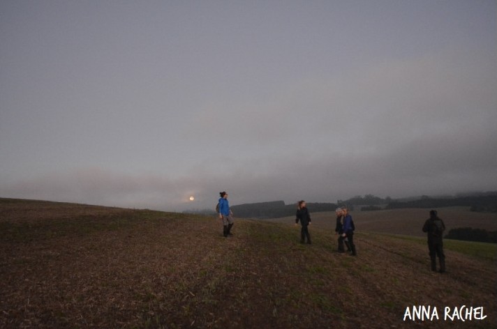 imagens selecionadas_creditos_07.jpg