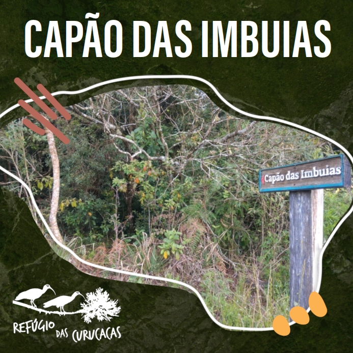 card_CAPAO-IMBUIAS-1.jpg