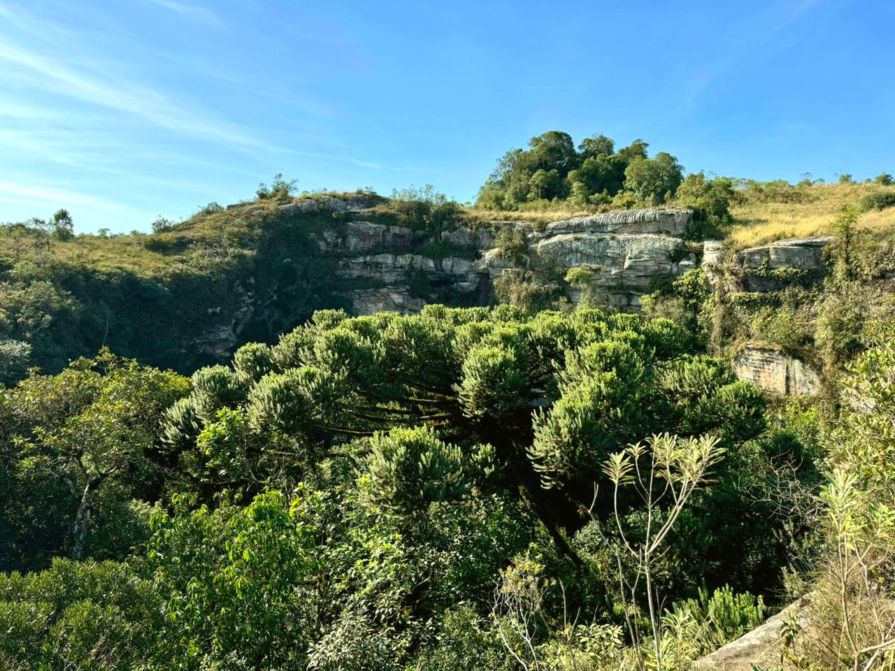 8 WhatsApp Image 2024-06-08 at 12.18.54-t.jpeg