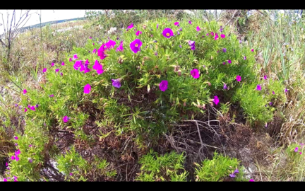 Captura de tela de 2019-04-14 09-52-48.redimensionado.png