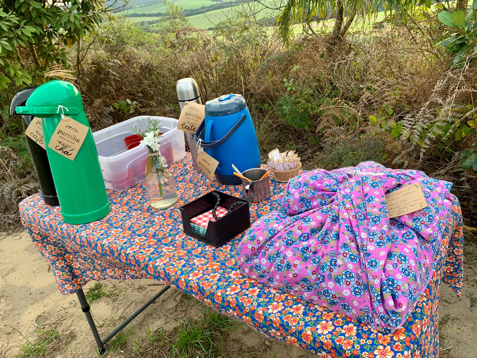 PIQUENIQUE-WhatsApp Image 2022-08-09 at 18.02.32 (3)-CLEUSA ASSAKURA.jpeg
