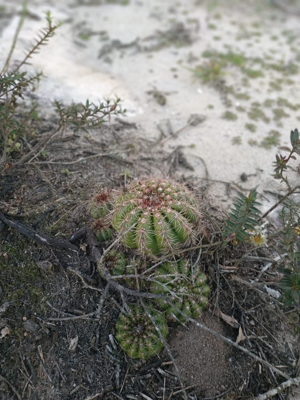 21 WhatsApp Image 2019-06-17 at 9.14.44 AM.jpeg