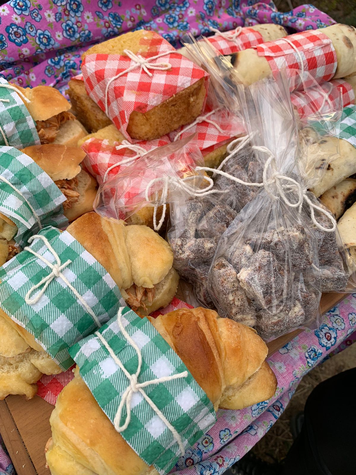 PIQUENIQUE-WhatsApp Image 2022-08-09 at 18.02.33-CLEUSA ASSAKURA.jpeg