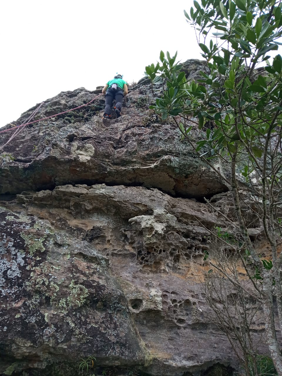 05 WhatsApp Image 2020-01-19 at 11.58.17 AM (1)-LUCIANOeCAROL.jpeg